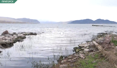 Жители Пригорска нашли незаконный слив нечистот в водохранилище